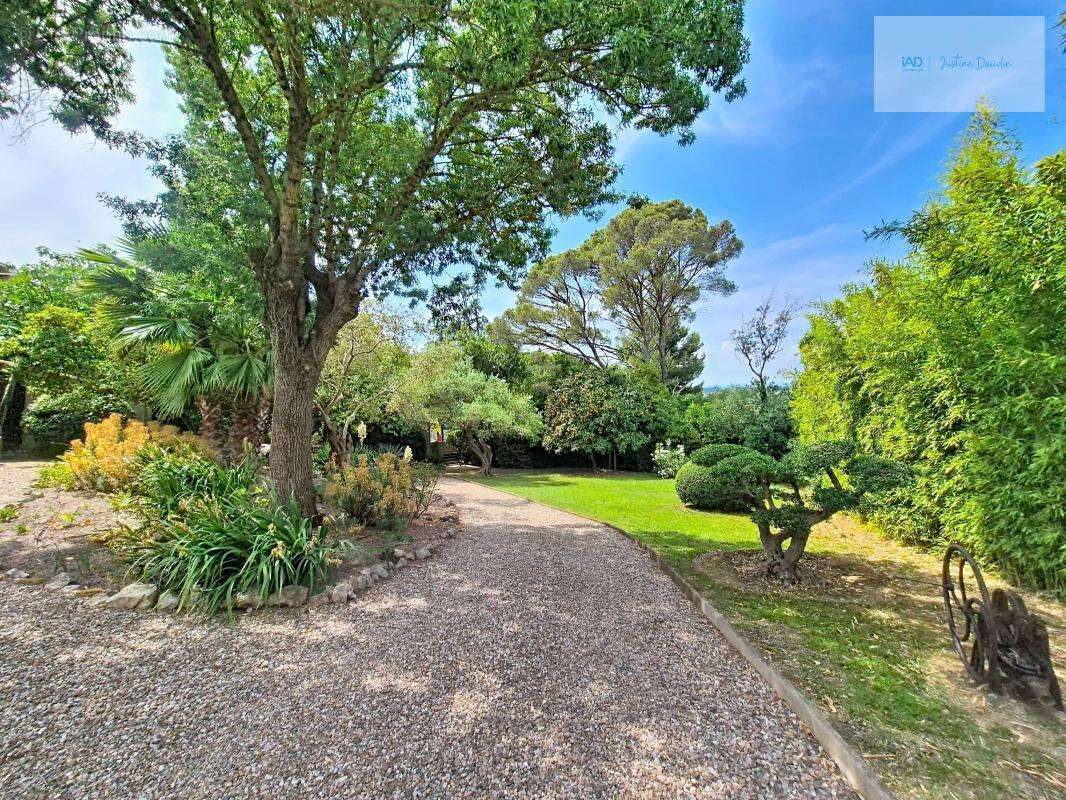 Propriété d'exception aux portes de Pézenas – Charme, volumes et panorama exceptionnel - photo 6