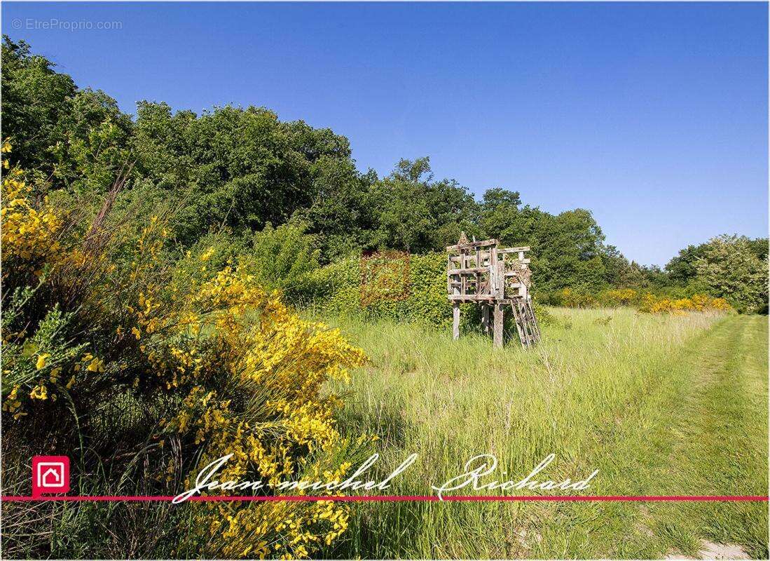 Terrain de loisirs Le Controis En Sologne 63 m2 - photo 8