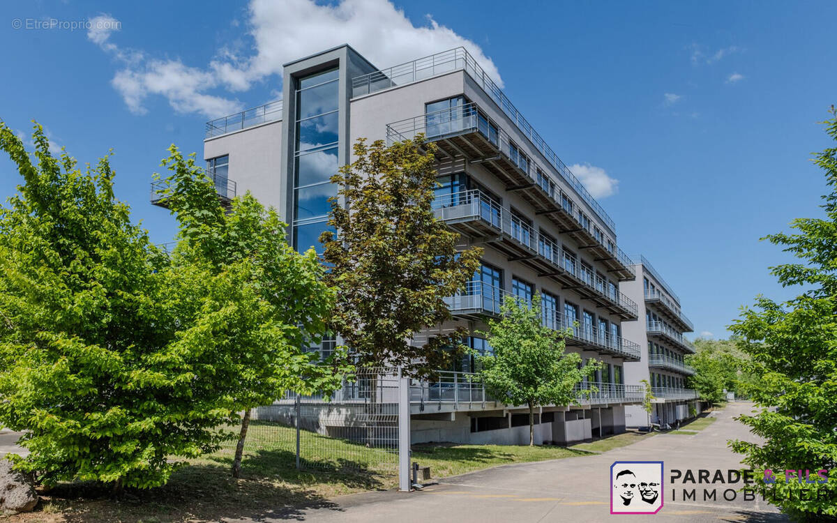 Commerce à MAXEVILLE