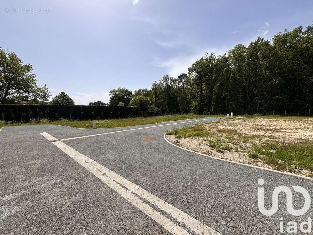 Photo 5 - Terrain à AVENSAN