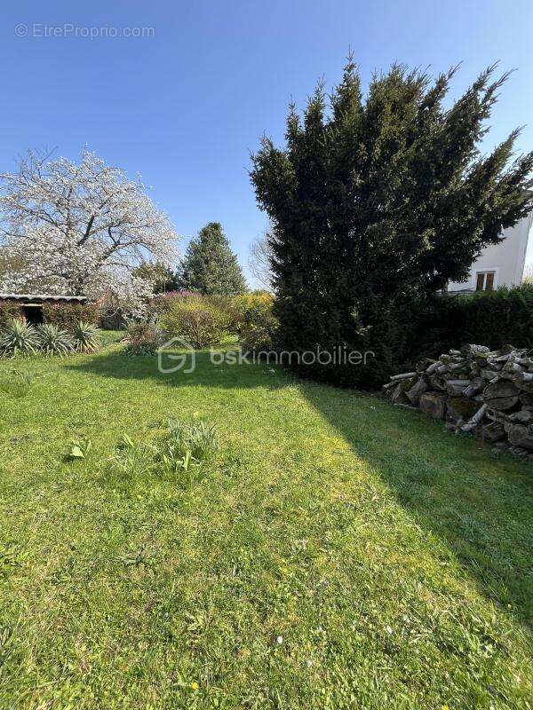 À vendre – Terrain constructible de 799 m² – Centre‑ville de Thiais (94320) - photo 3