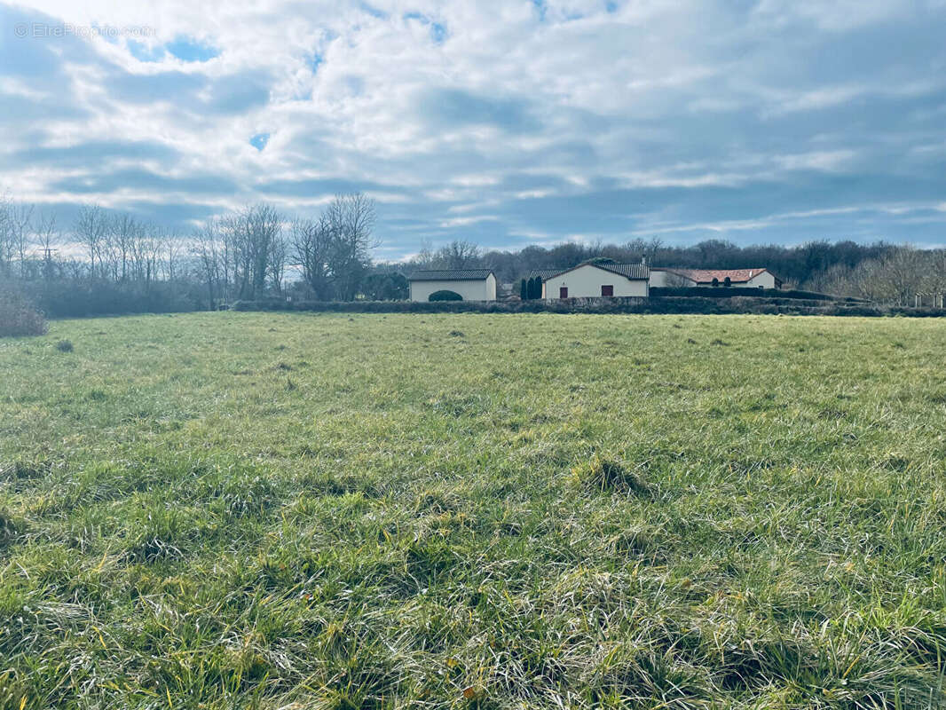 Terrain à LES FORGES