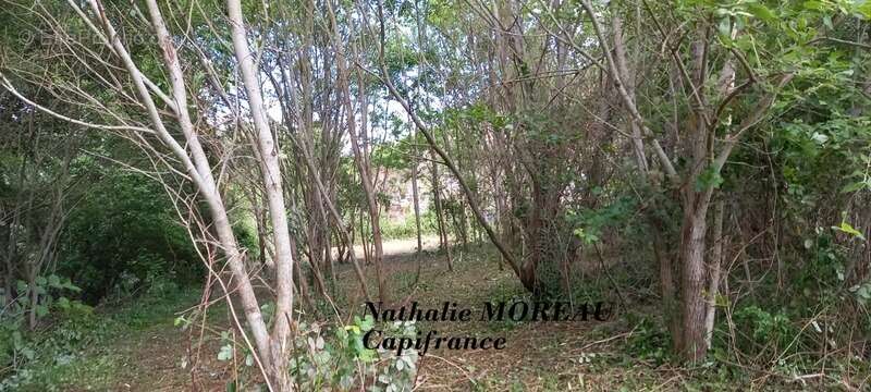 Maison à vendre 8 pièces AUTUN (71) terrain 2 690m2 - photo 9