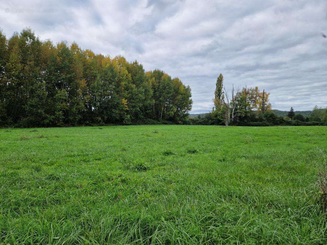 Terrain à TERRASSON-LAVILLEDIEU