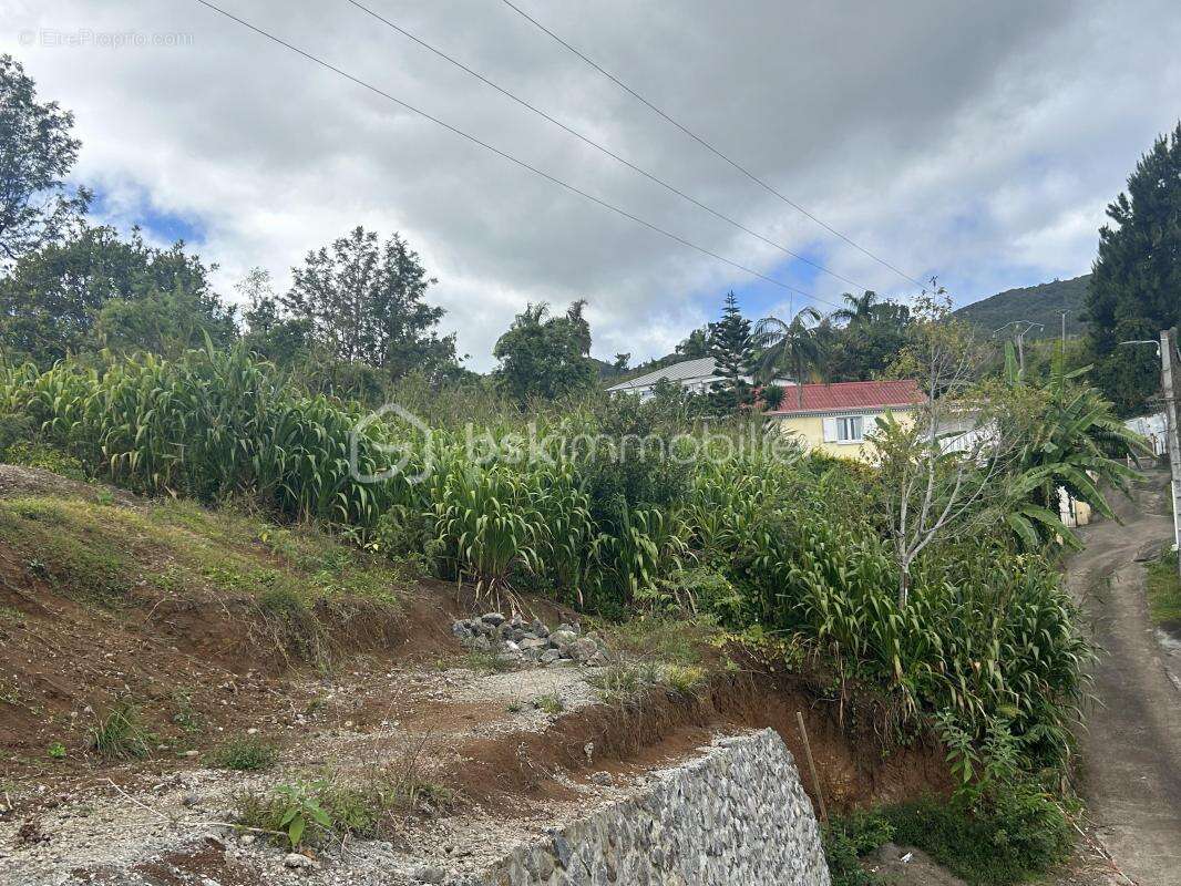 Parcelle de terrain constructible de 994 m2 (vue mer et montagne) - photo 3