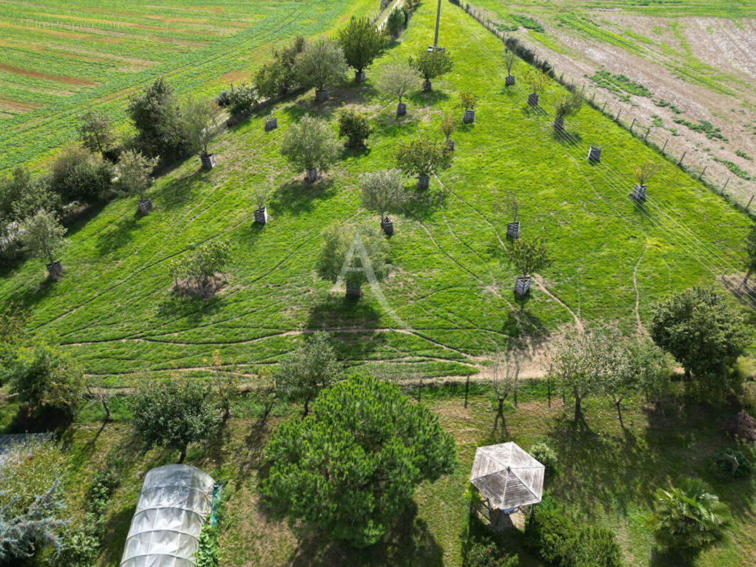 Maison à SAINT-DENIS-D&#039;ANJOU