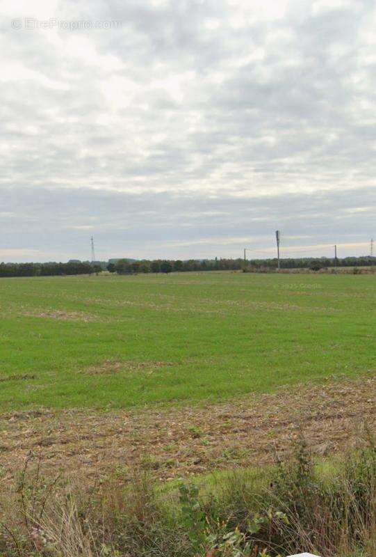 Terrain à VILLEDOUX