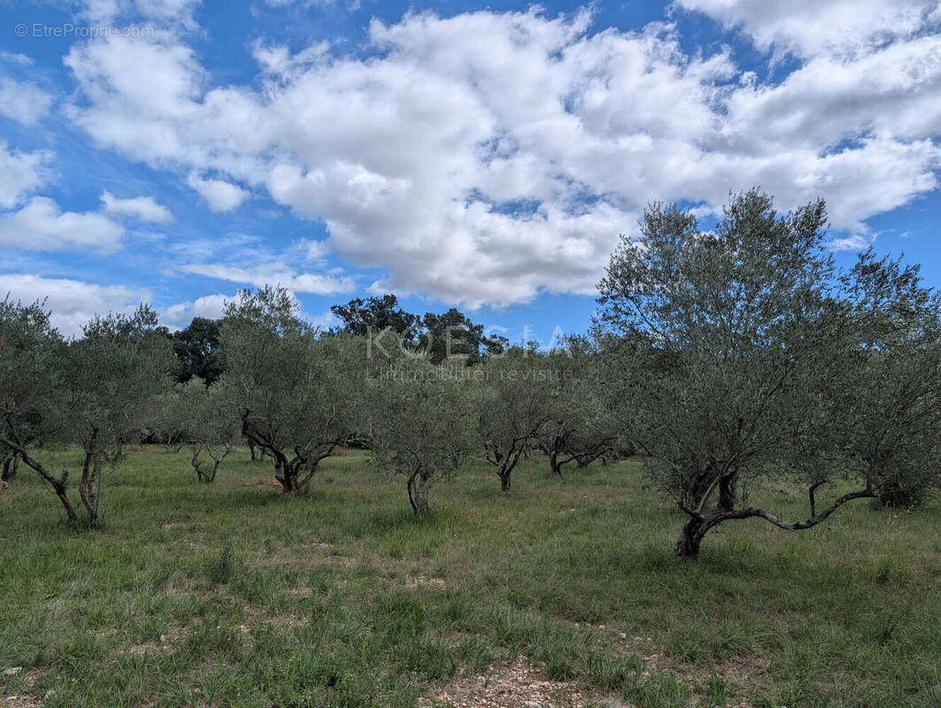 Terrain à SAUVE