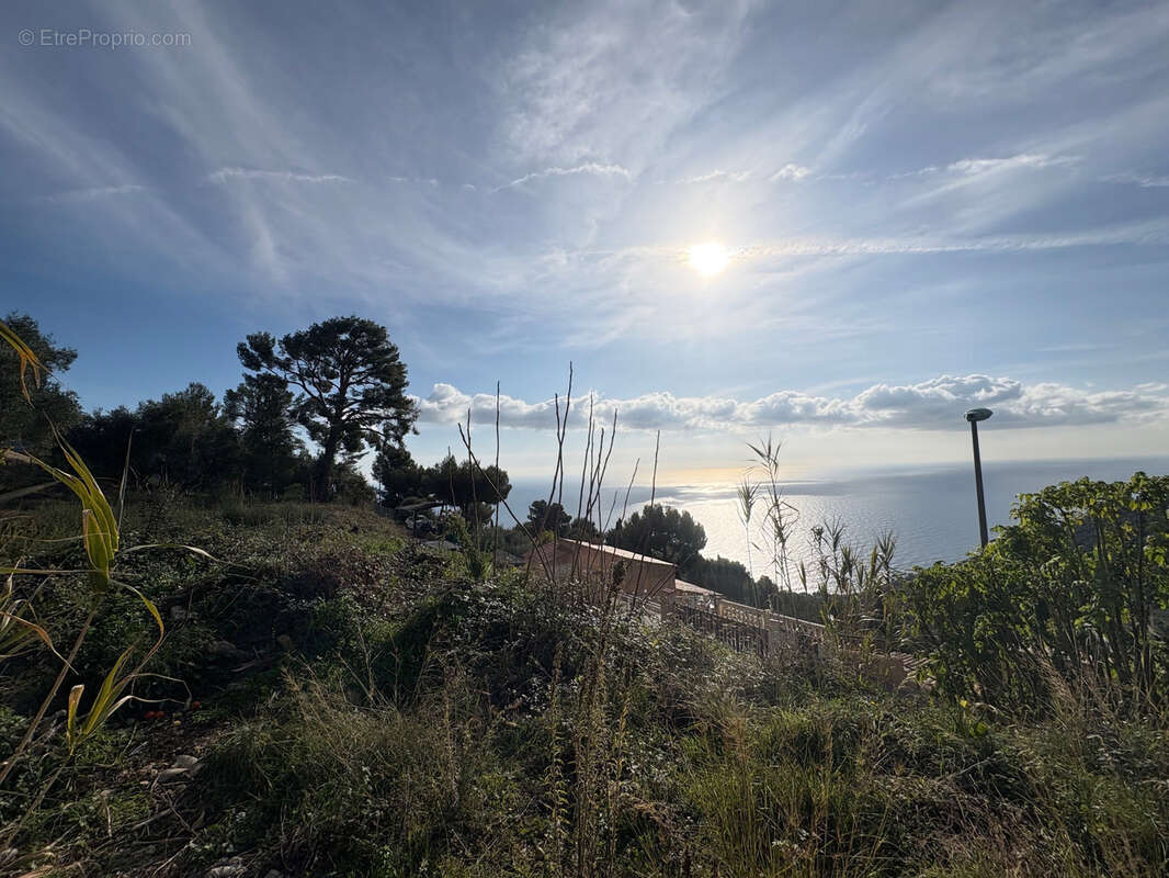Terrain à EZE