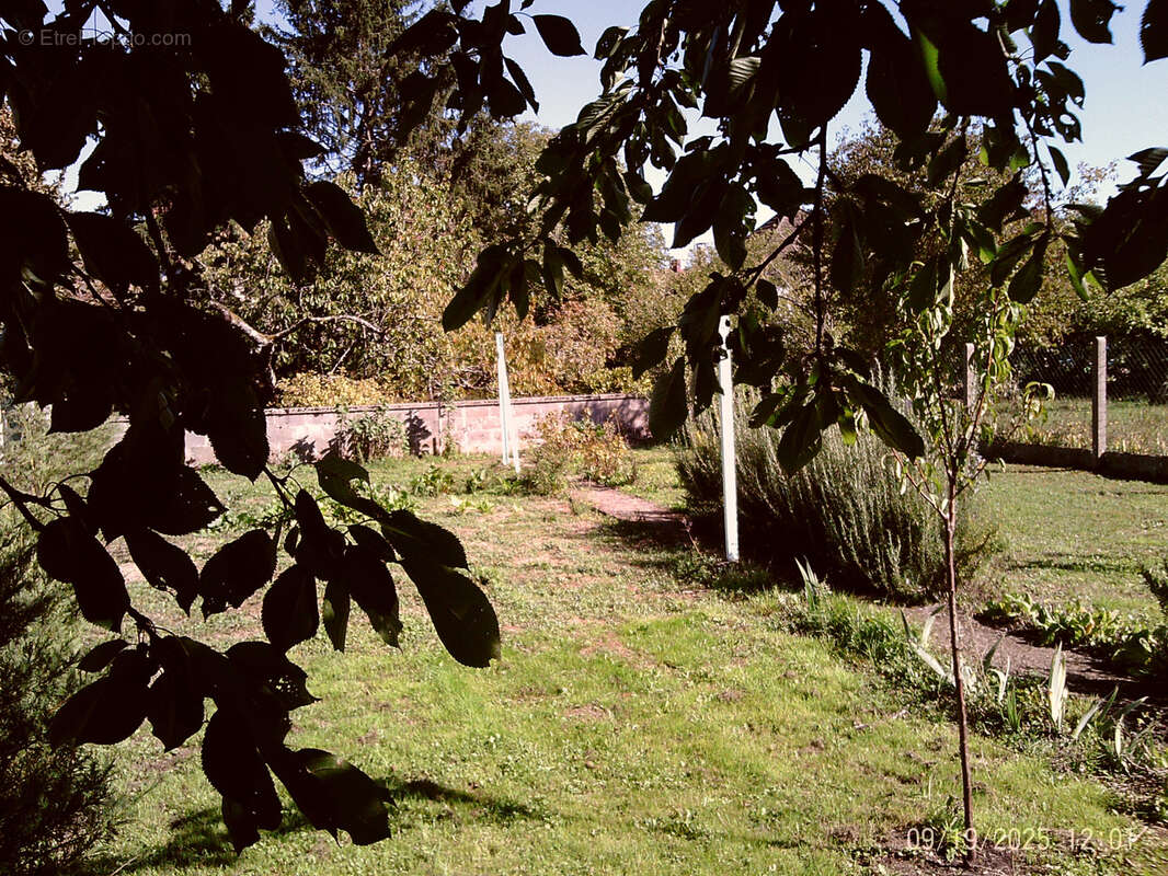 Maison à NERONDES
