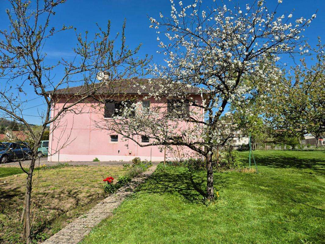 Maison à SCEY-SUR-SAONE-ET-SAINT-ALBIN