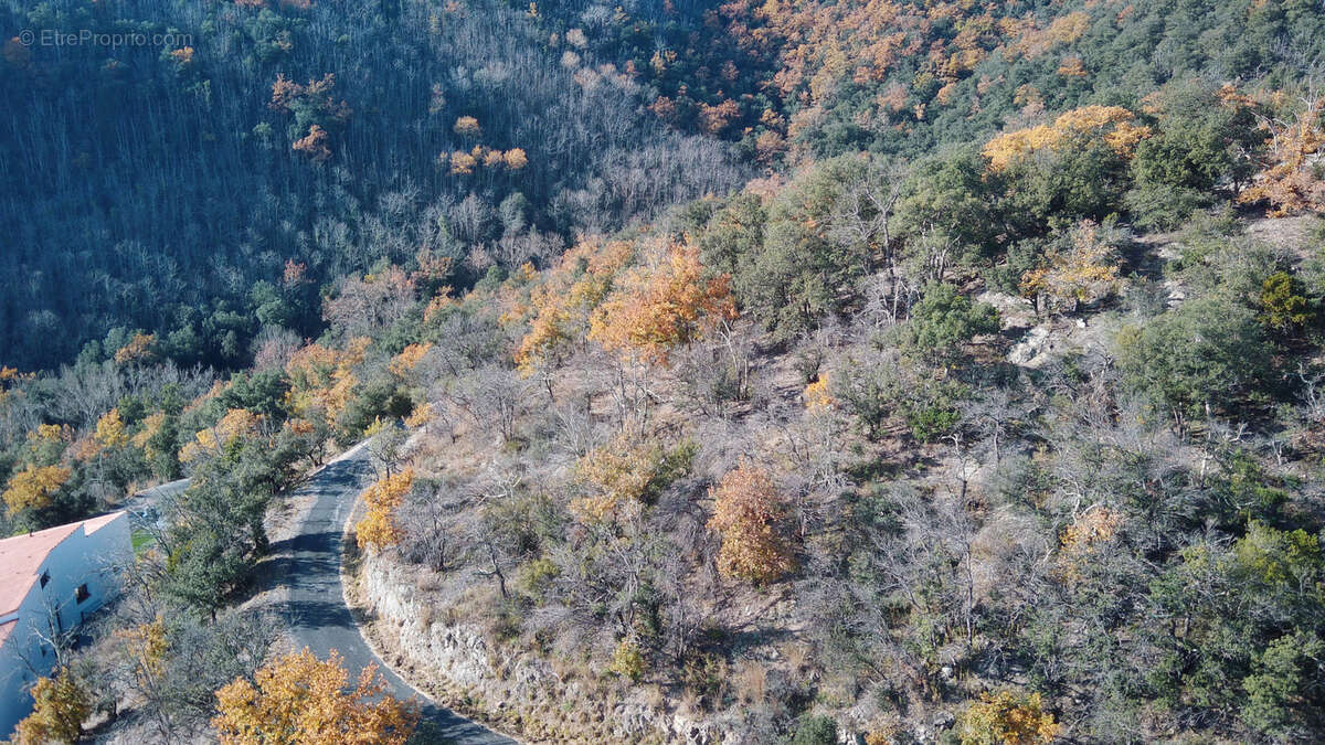 Terrain à ARLES-SUR-TECH