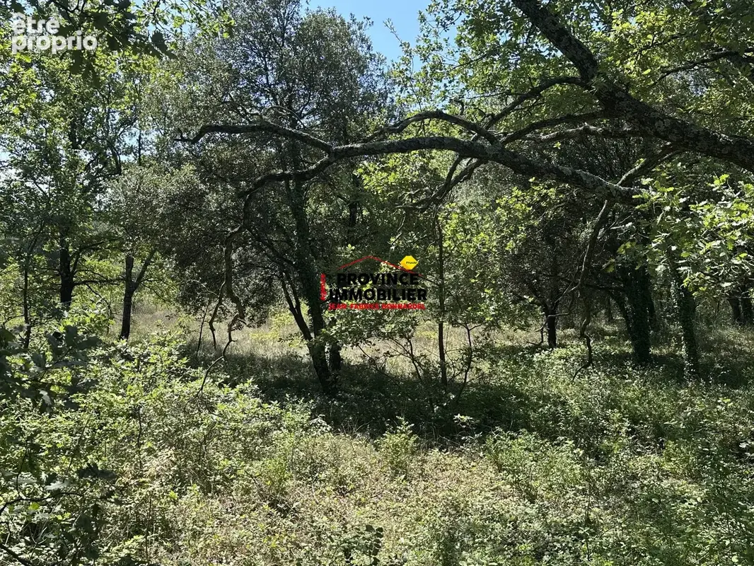 Terrain 12 485 m² à vendre à Grignan (26230) - photo 6