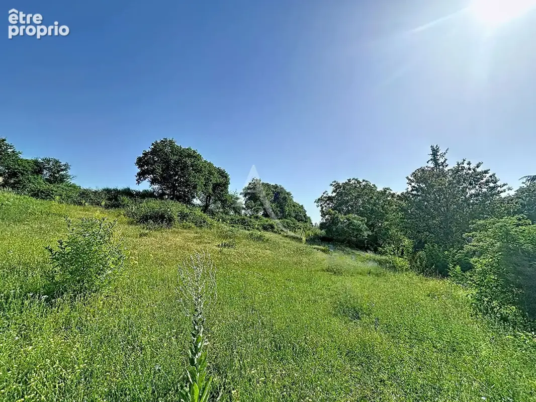 Terrain Loigne Sur Mayenne 23946 m2 - photo 6