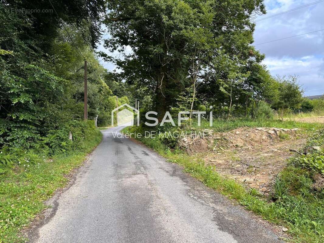 Photo 2 - Terrain à GIMEL-LES-CASCADES