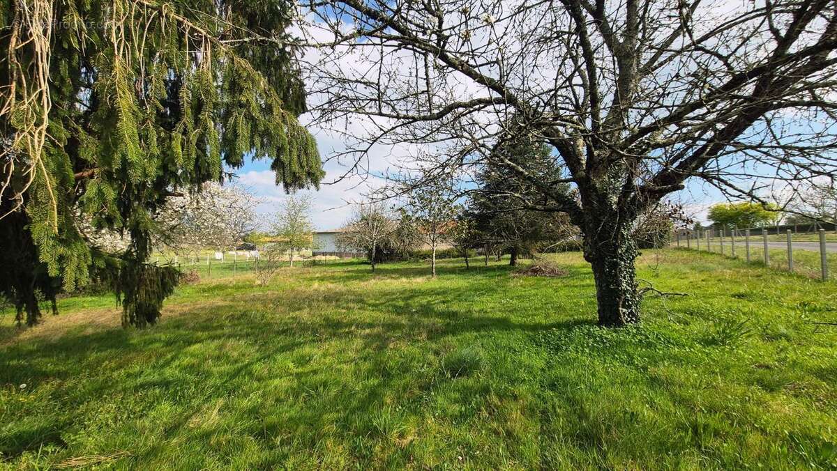 Terrain à EGLISE-NEUVE-DE-VERGT