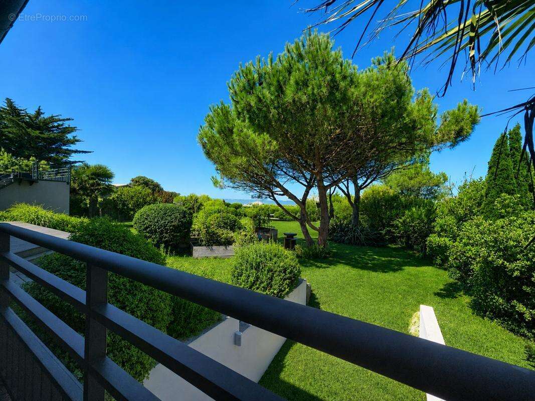 Maison 328 m² à L'houmeau  - photo 19