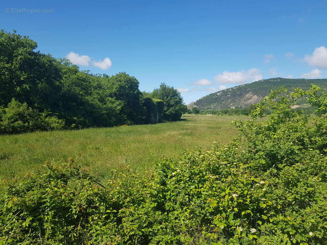 Terrain à LES PILLES