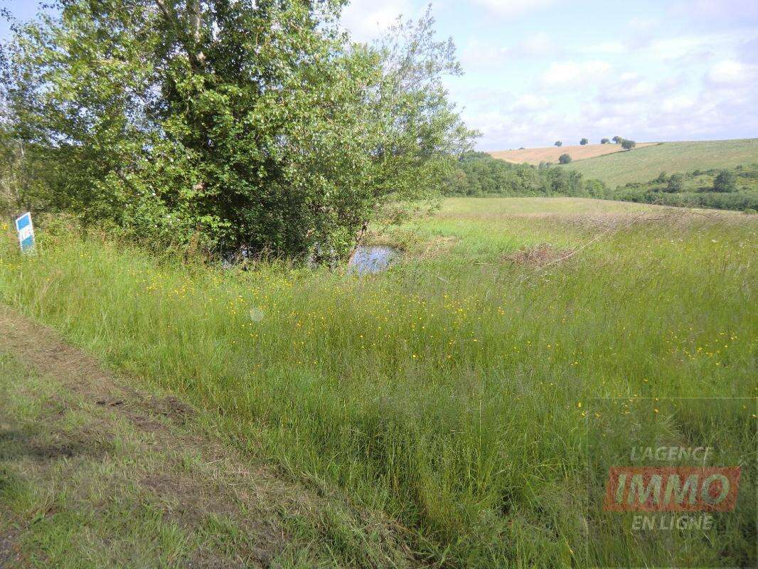 Terrain agricole - photo 3