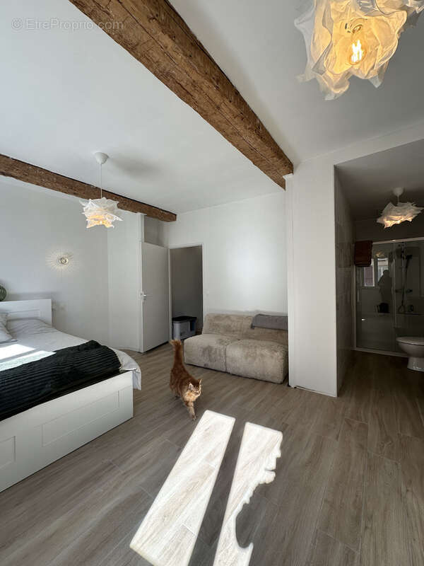 Maison à SAINT-CYPRIEN