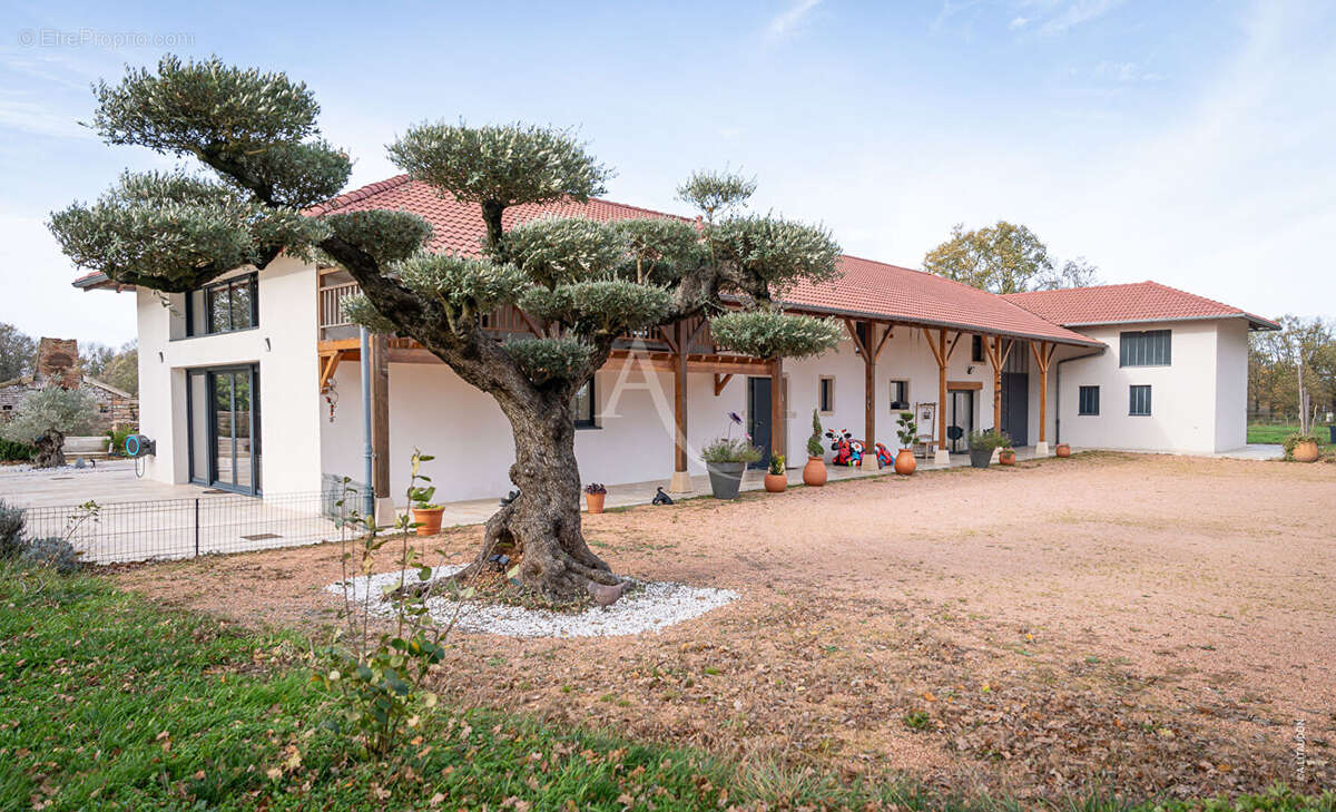 Maison à SAINT-ANDRE-DE-BAGE