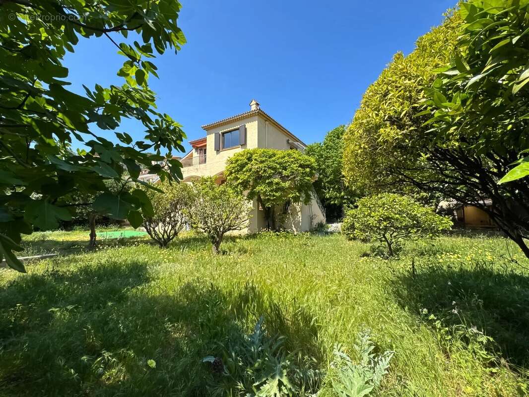 VILLEFRANCHE-SUR-MER – Dans un Écrin de Verdure - photo 3