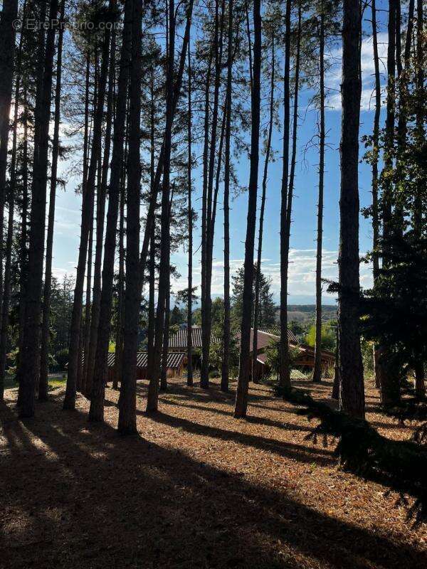 Maison à LA FOUILLOUSE