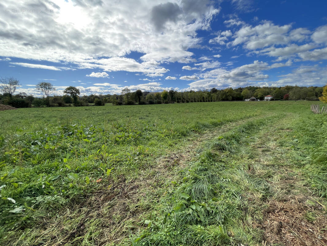 Terrain à ARTIGUELOUTAN