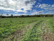 Terrain à ARTIGUELOUTAN
