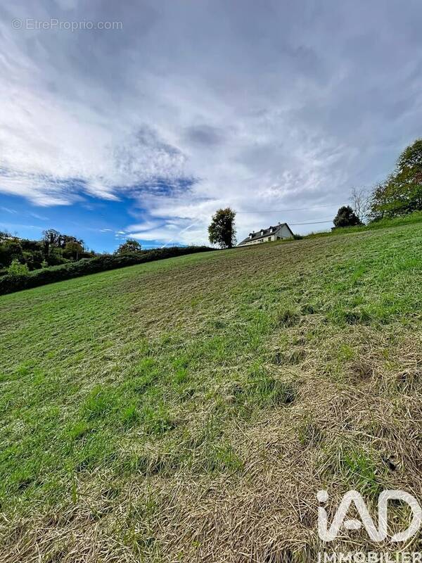 Photo 1 - Terrain à MONEIN
