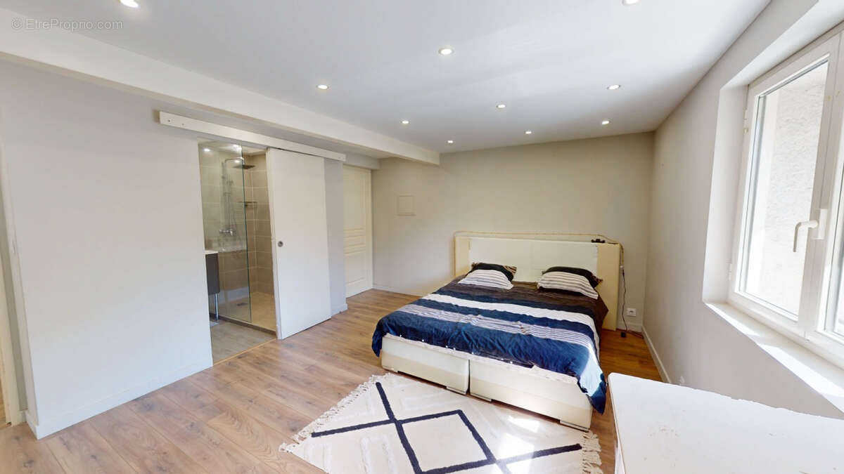 Maison 208 m² avec piscine, jacuzzi, et dépendance - photo 7