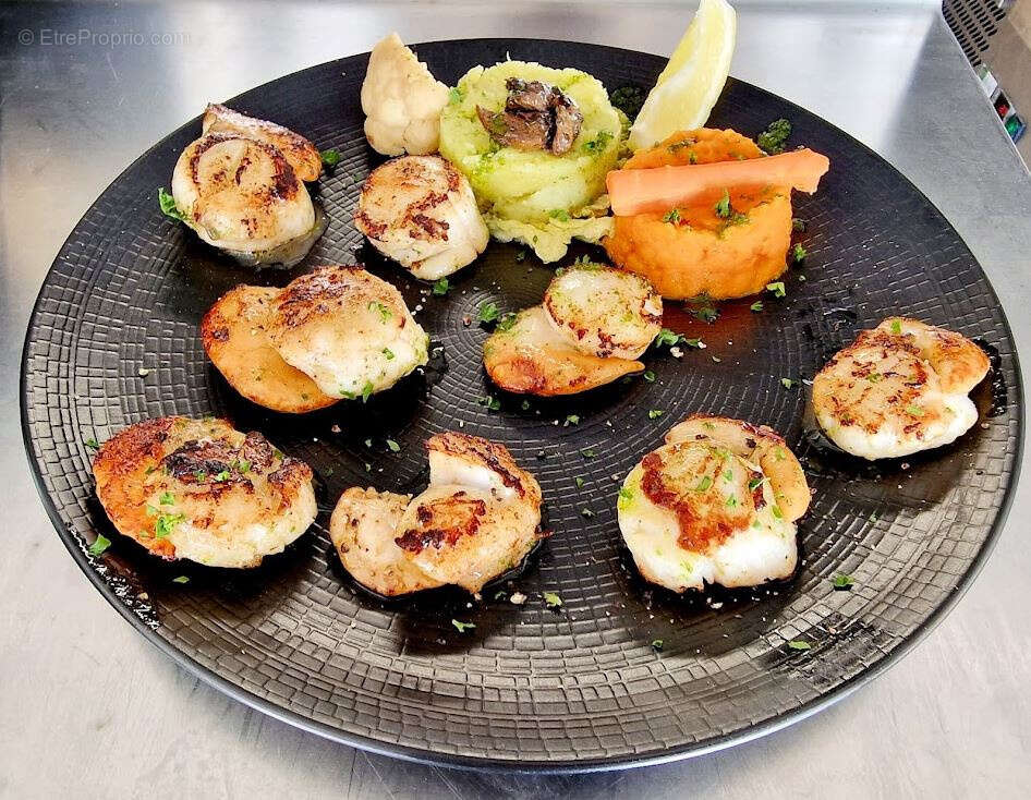 Commerce à GRUISSAN