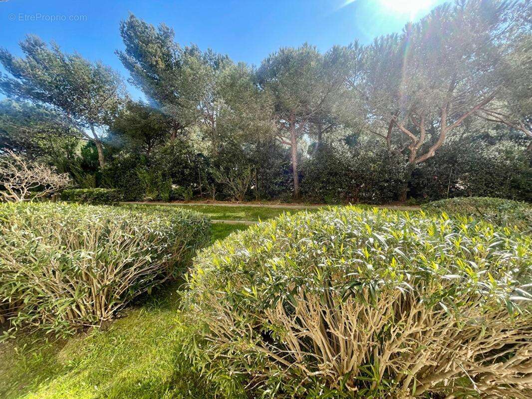 Appartement à LA SEYNE-SUR-MER