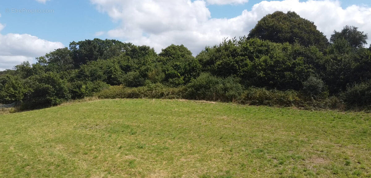 Terrain à HOPITAL-CAMFROUT