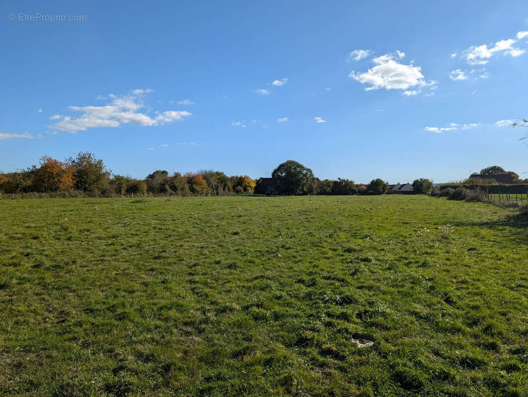 Maison à SAINT-MARD-DE-RENO