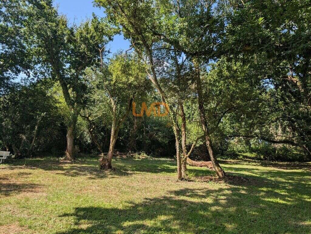 Maison à PLOMODIERN