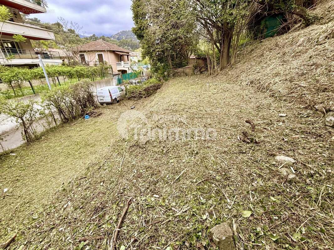 Terrain à SAINT-ANDRE-DE-LA-ROCHE