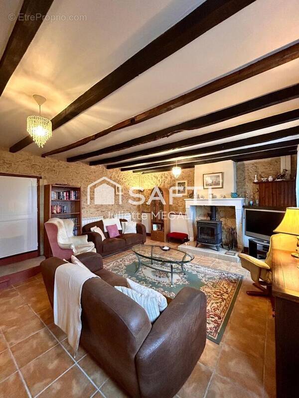 Photo 1 - Maison à VILLEFRANCHE-DE-LONCHAT