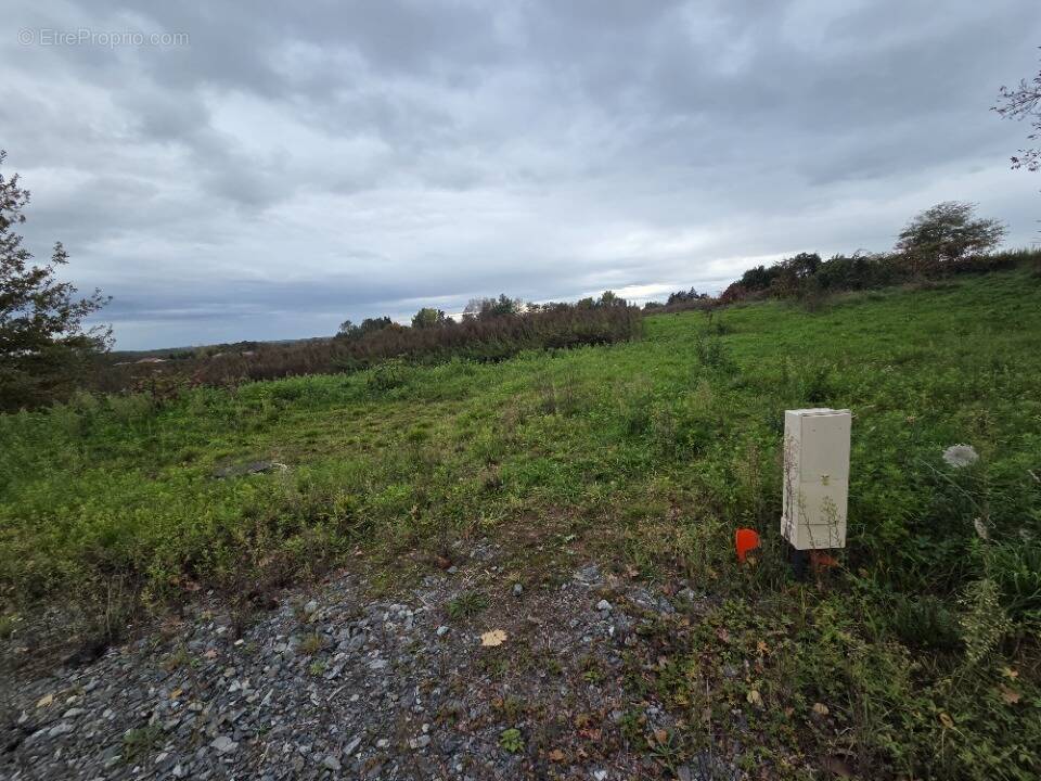 Terrain à SAINT-GEORGES-DE-RENEINS