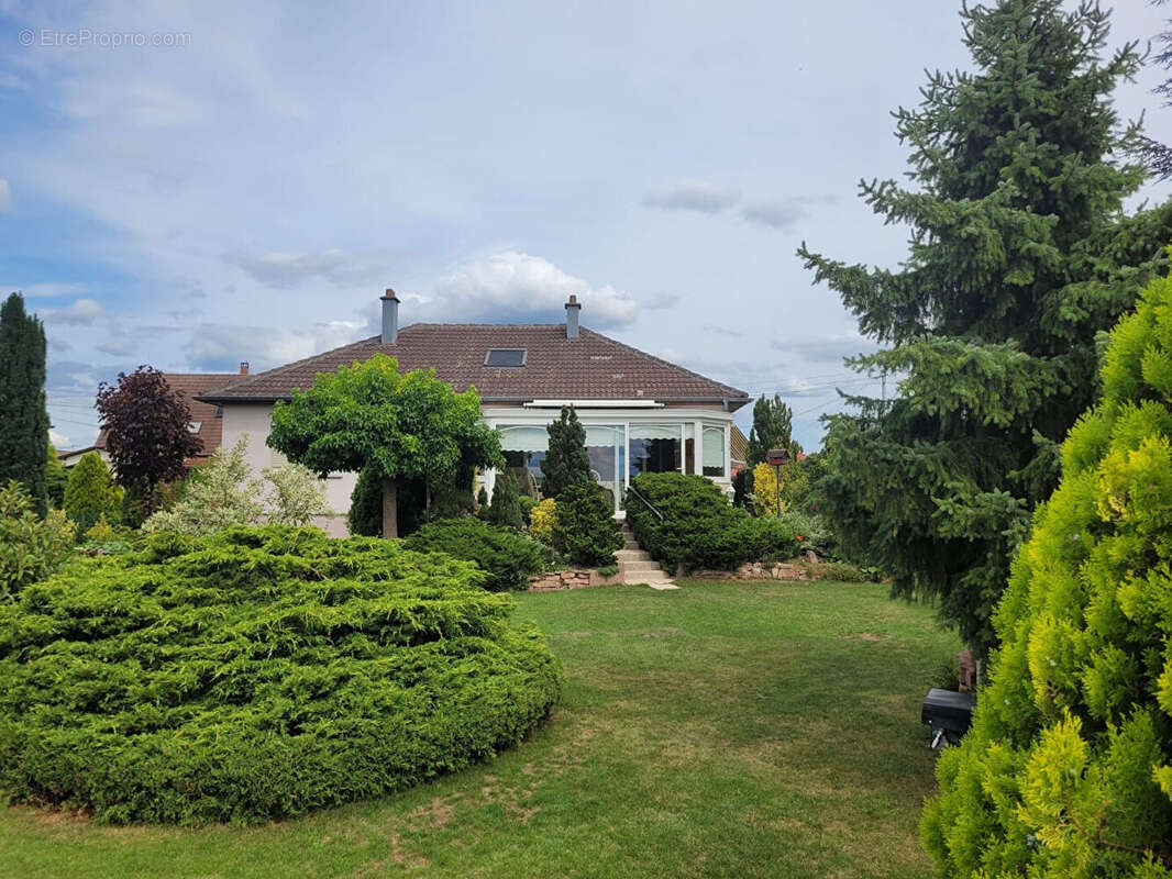 Maison à ALGOLSHEIM