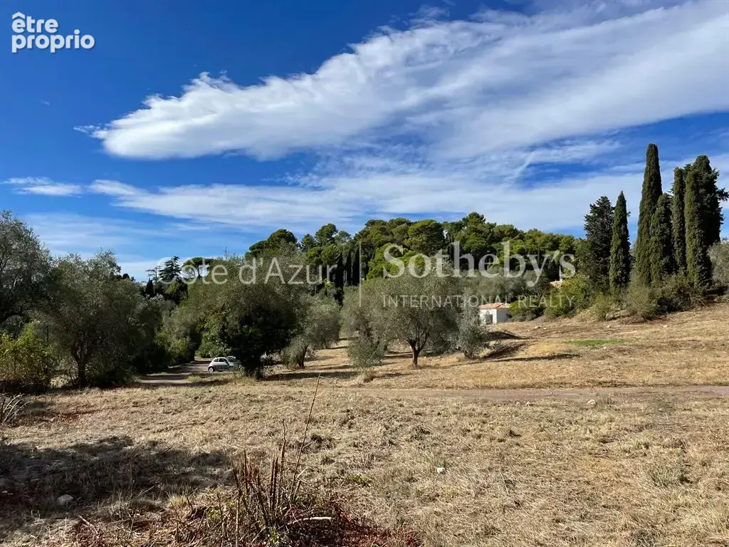 Projet de 3 villas contemporaines sur 35 233 m² - photo 9