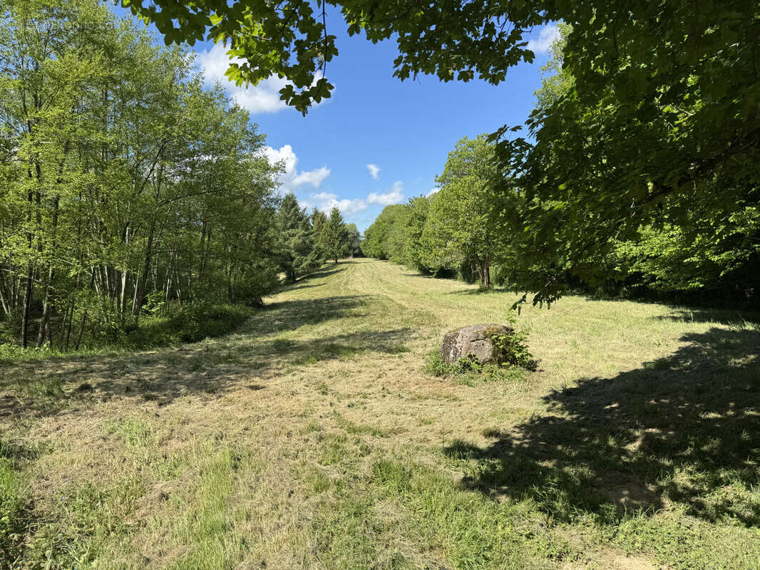 Terrain à LORMES
