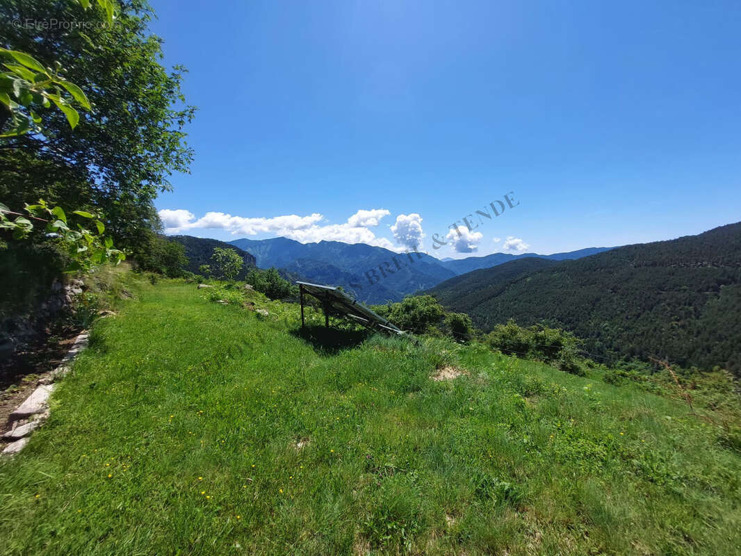 Vue panoramique - photo 31