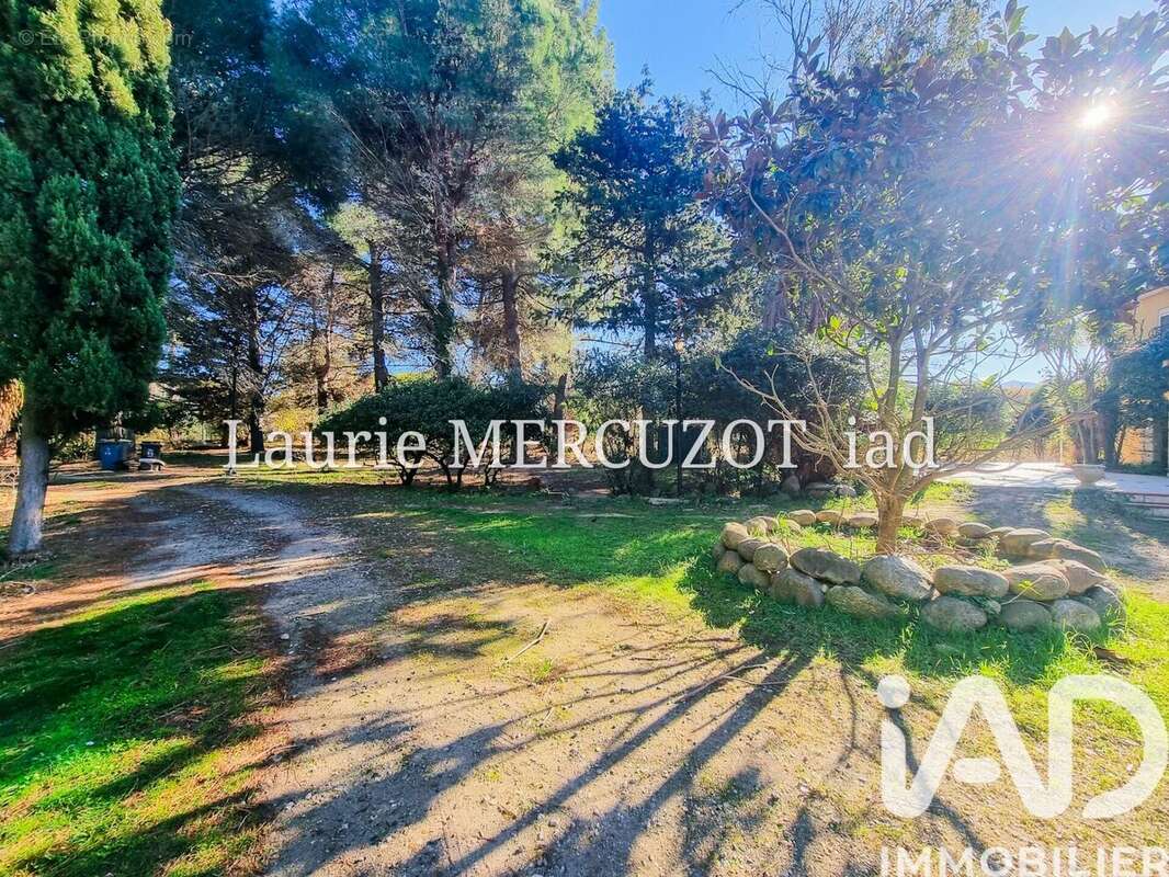 Photo 8 - Maison à ARGELES-SUR-MER