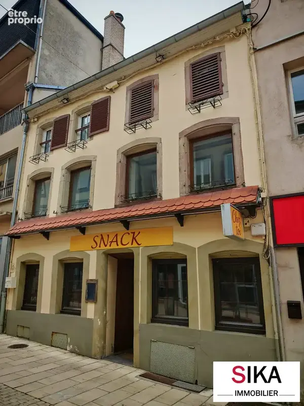 Maison 10 pièces 242 m² à vendre à Sarrebourg (57400) - photo 3