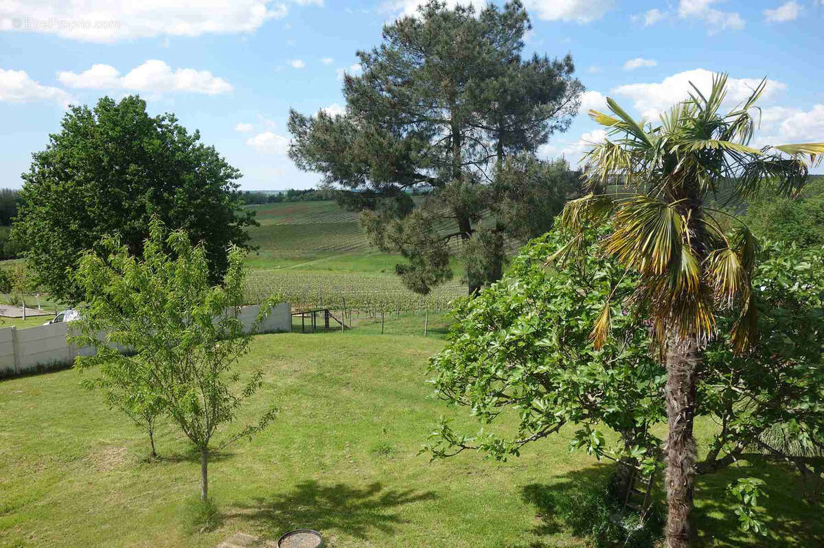 Maison à SAINT-PALAIS