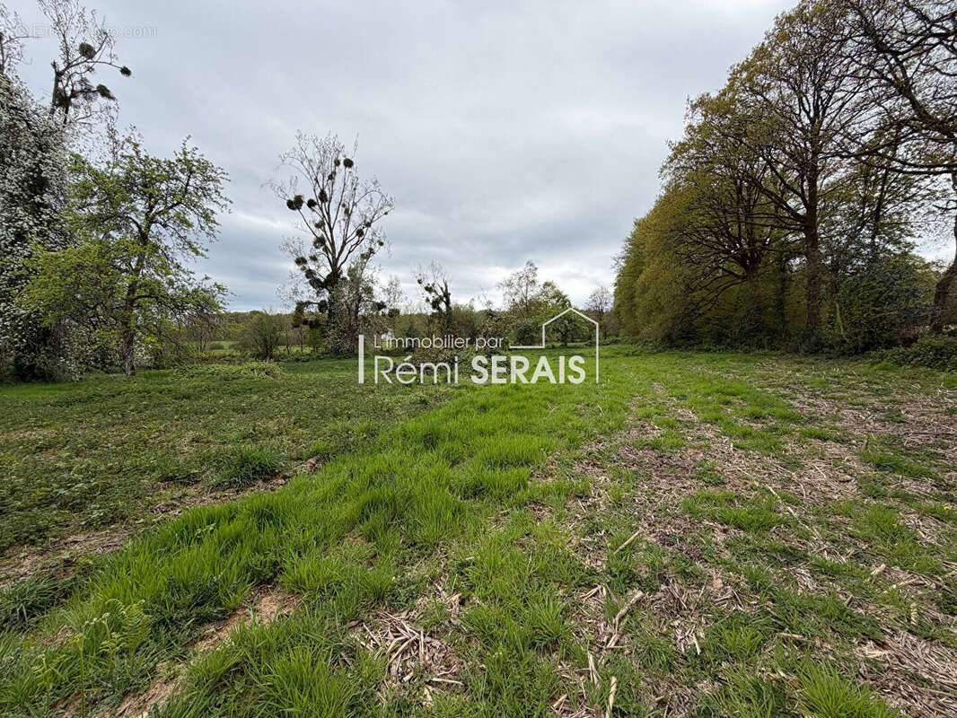 Maison à LA CHAPELLE-AU-MOINE