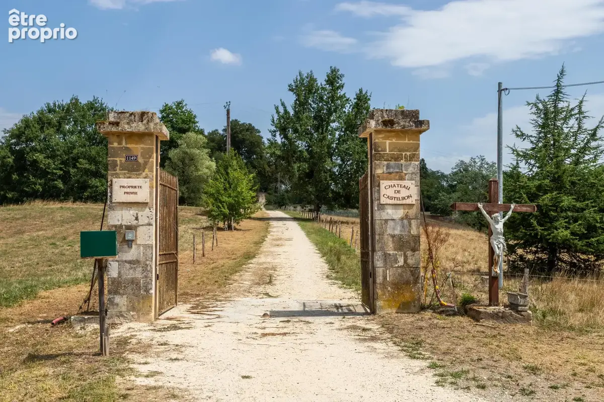 Château - Une situation magnifique et des intérieurs époustouflants - photo 27