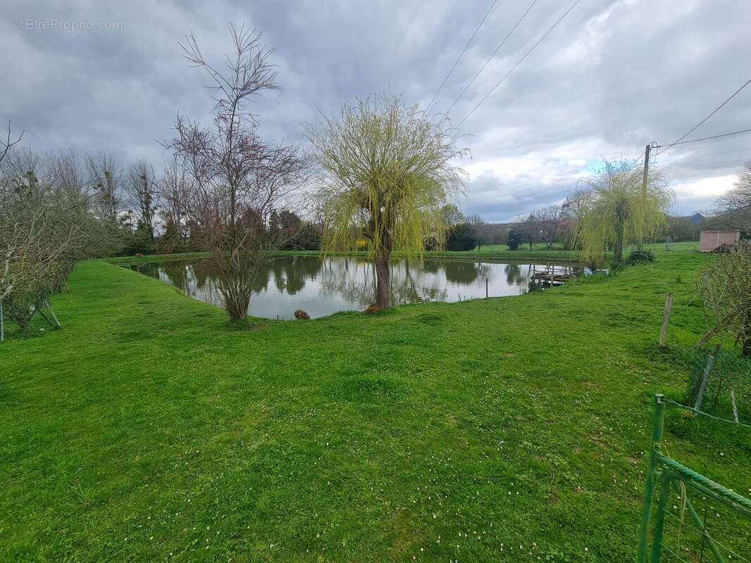 Terrain à ORGERES