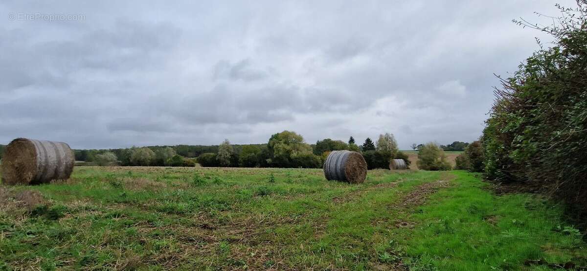 Terrain à COUILLY-PONT-AUX-DAMES